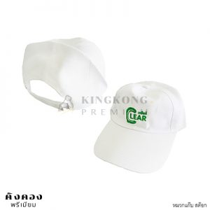 หมวกแก็บ (1)