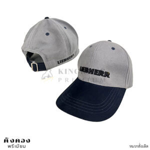 หมวกแก็ปพรีเมี่ยม (2)