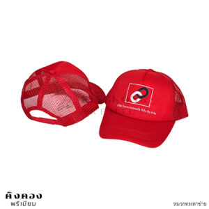 หมวกราคาถูก (2)