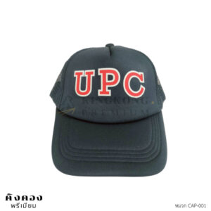 หมวกแฟชั่น (1)