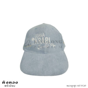 หมวกแฟชั่น (2)