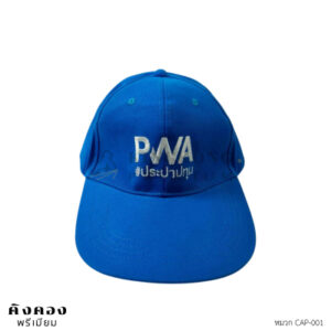 หมวกแฟชั่น (3)